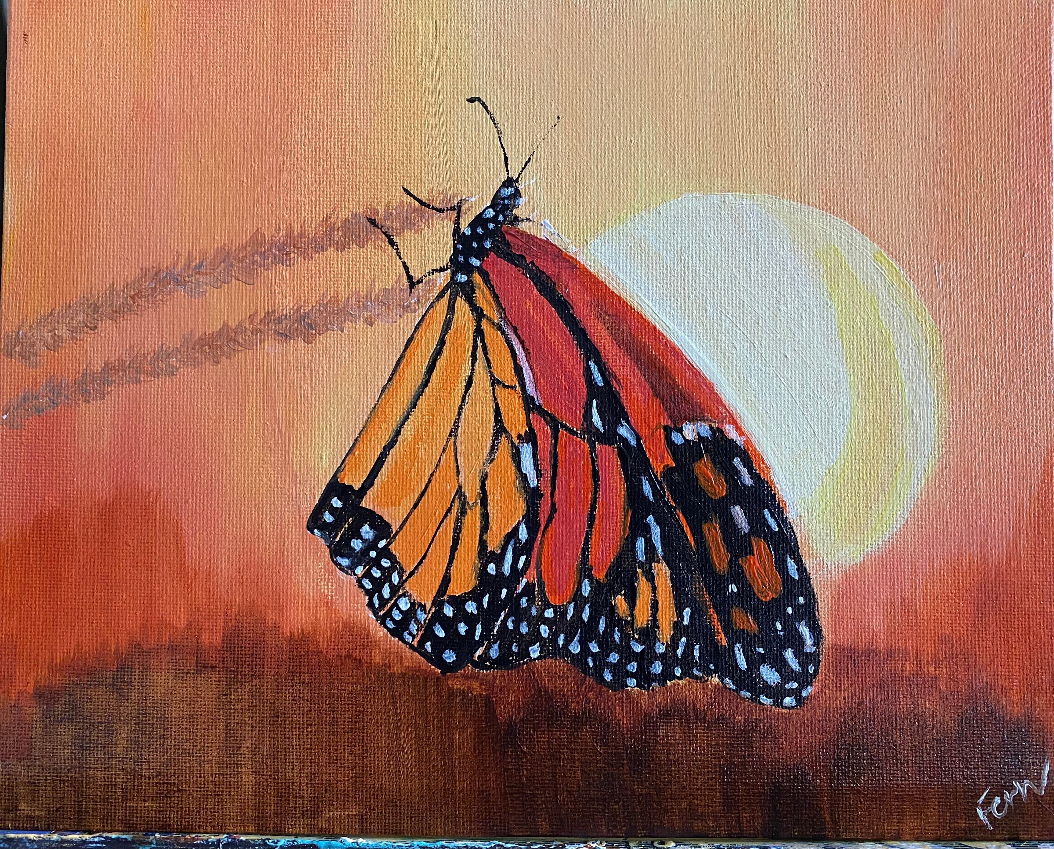 Butterflies