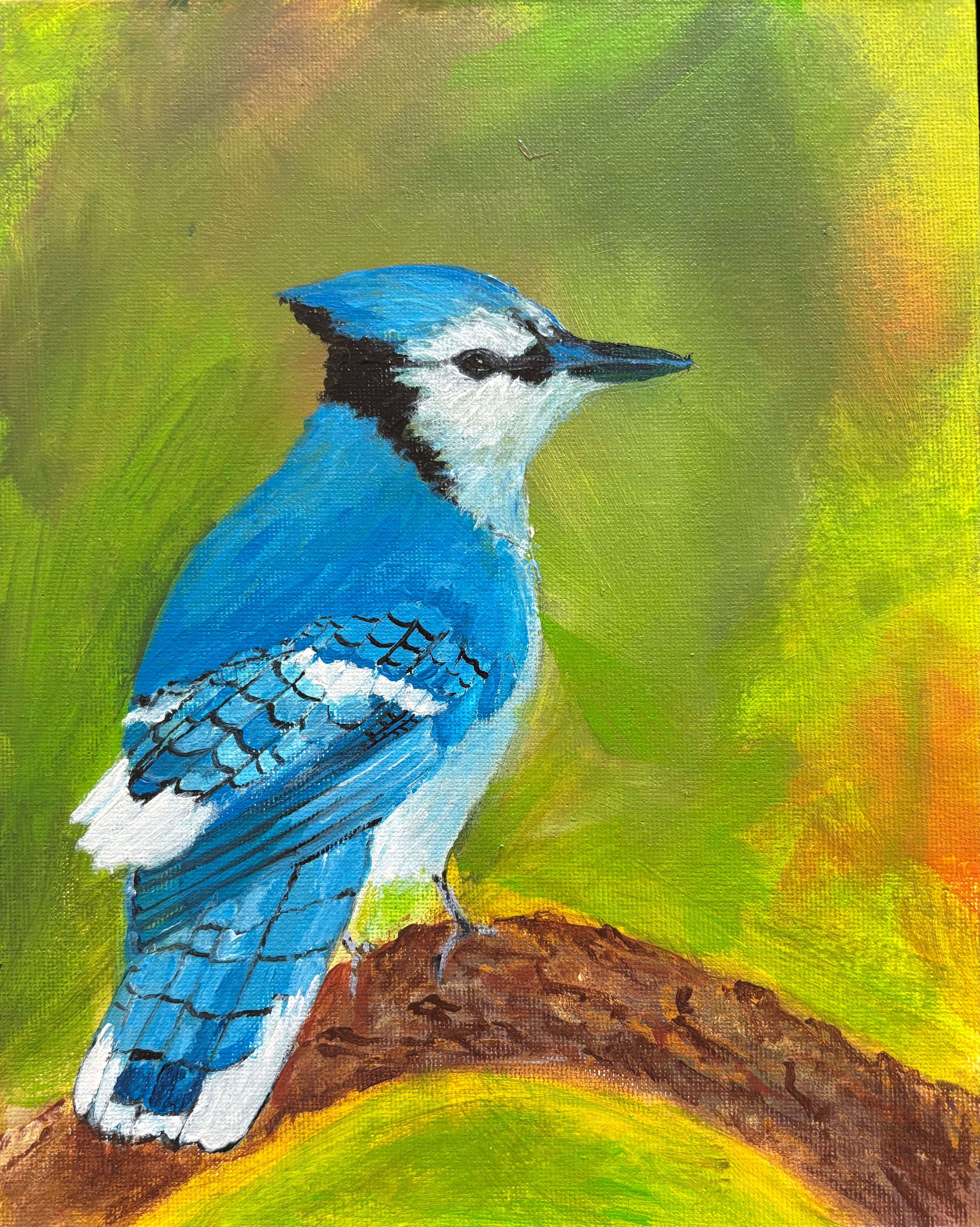 Birds, Blooms and other things