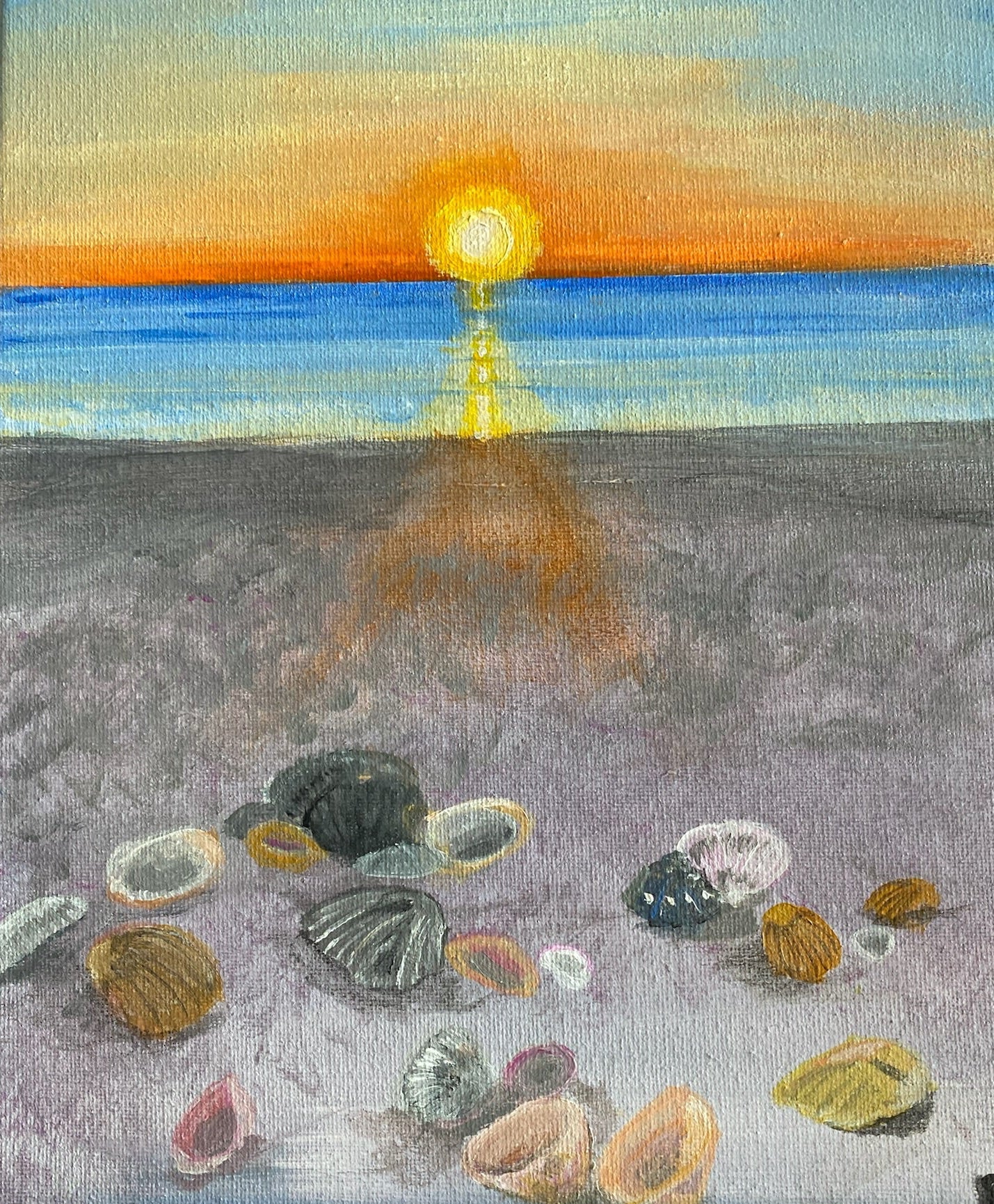 Shell hunting at Sunrise