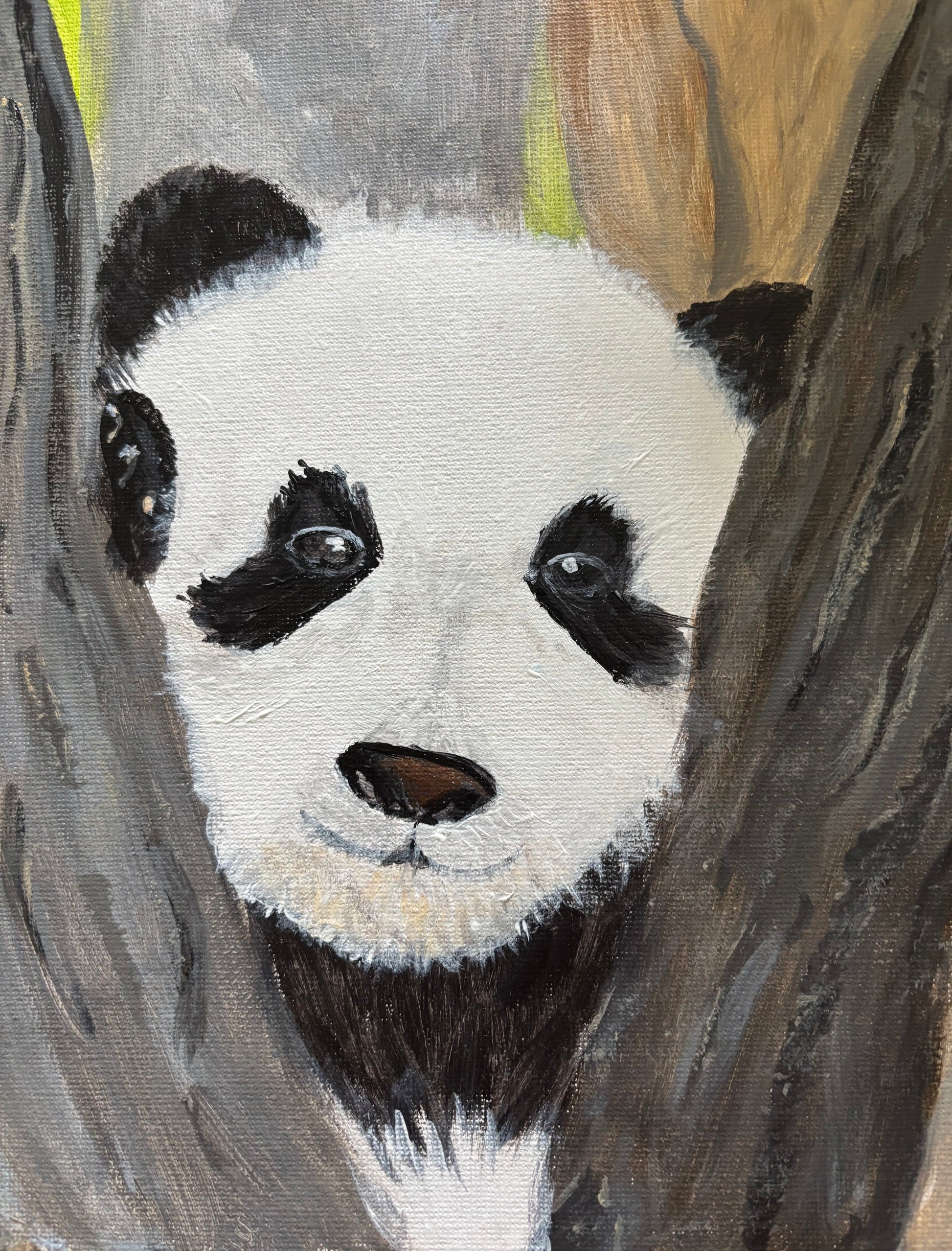 Peek a Boo Panda