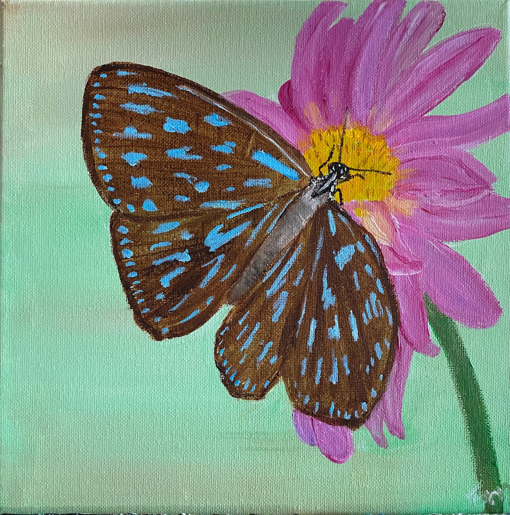 Blue Tiger Butterfly and Pink Flower