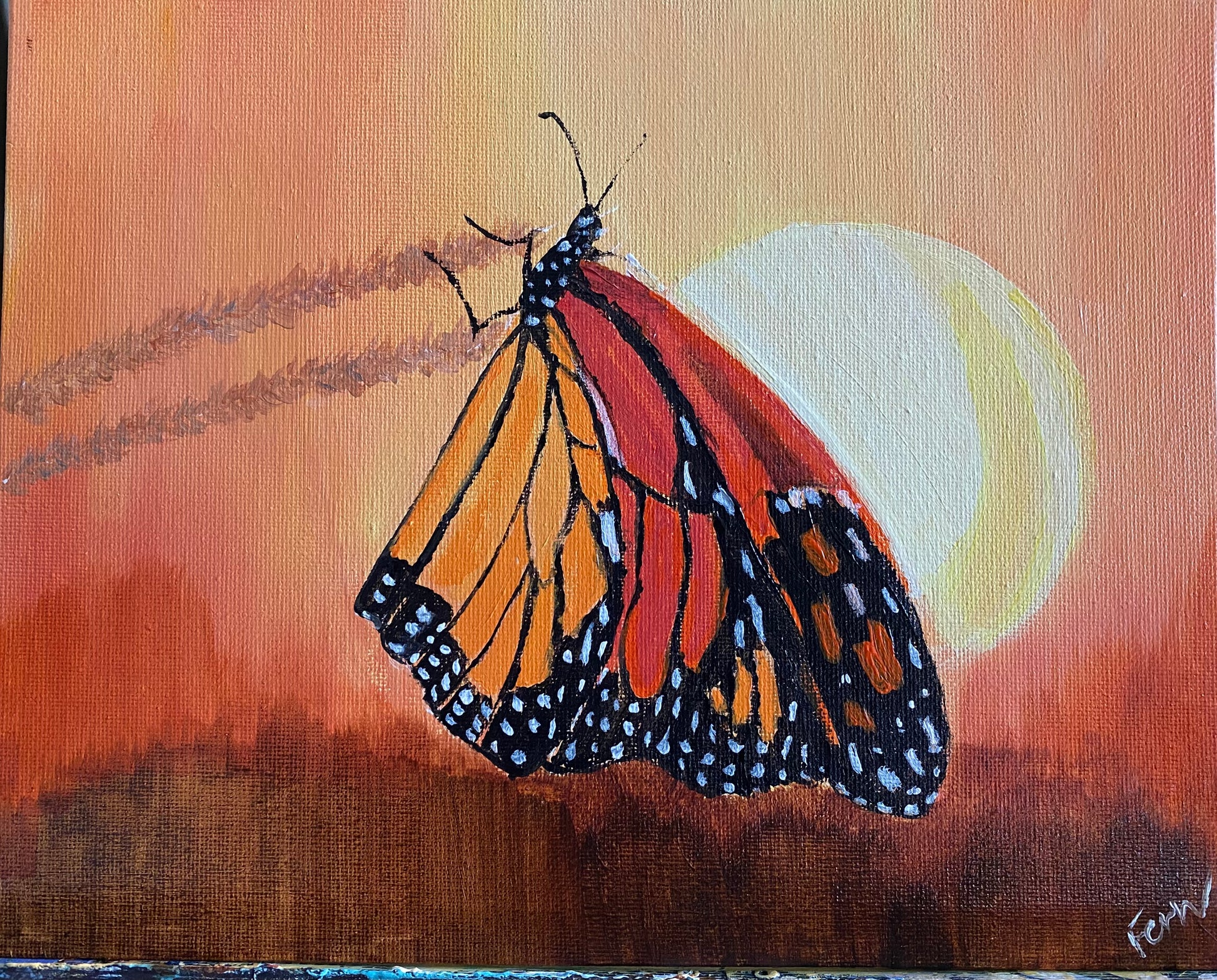 Monarch Butterfly Sunset