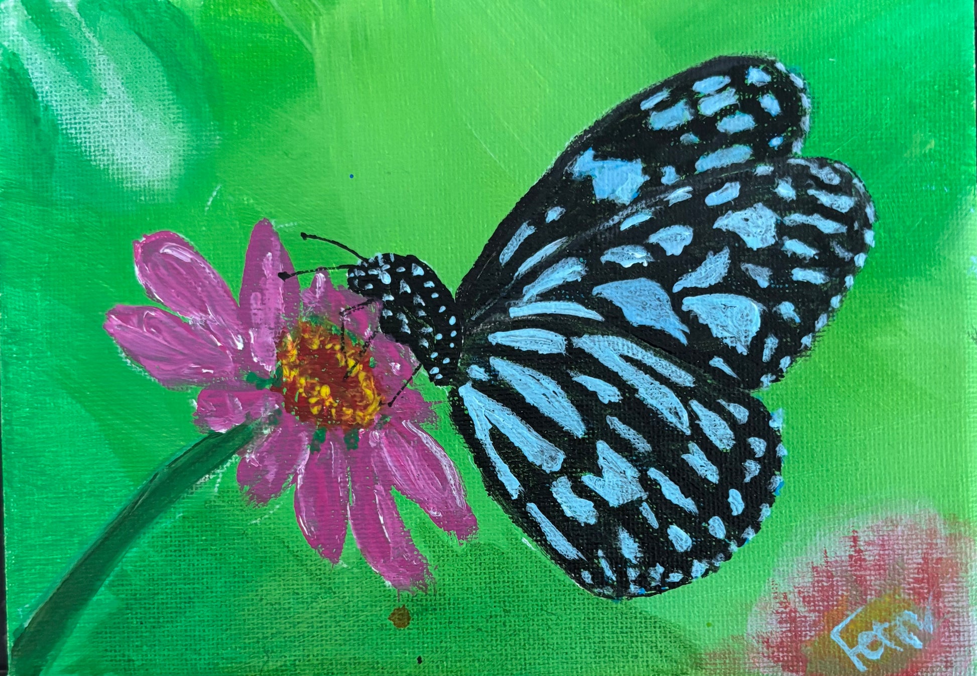 Blue Monarch on a Pink Flower
