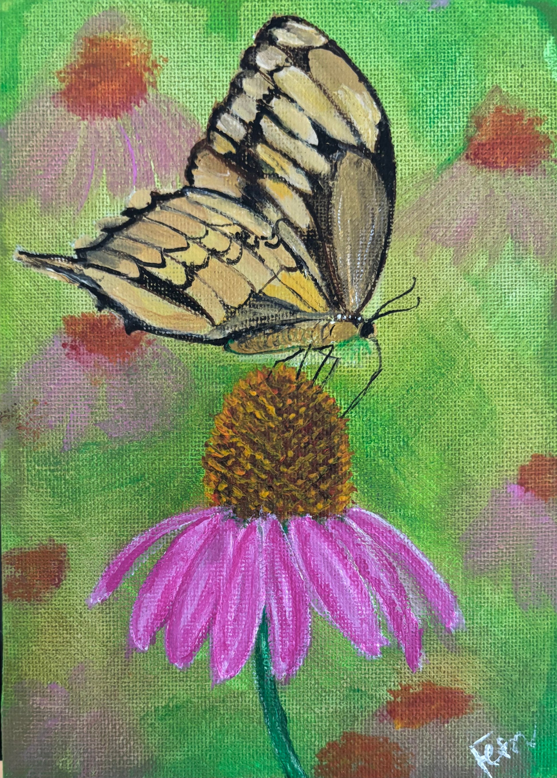 Coneflower Butterfly