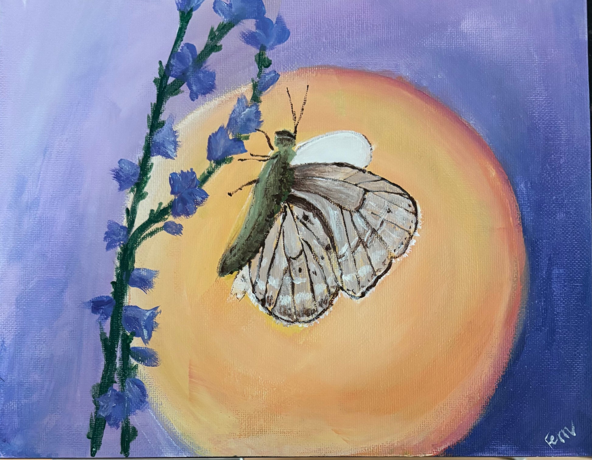 Purple Lacewing