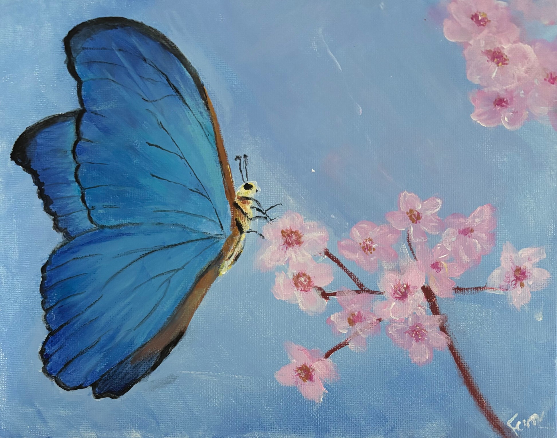 Blue Butterfly, Pink Cherry Blossom