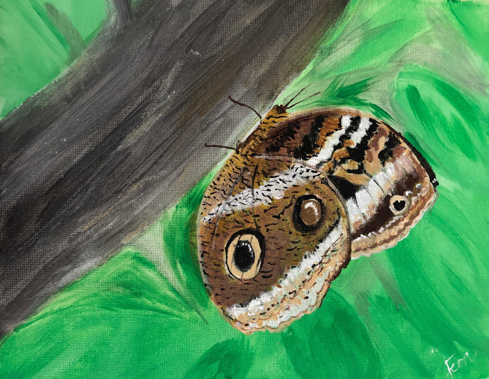 Owl Butterfly on a log