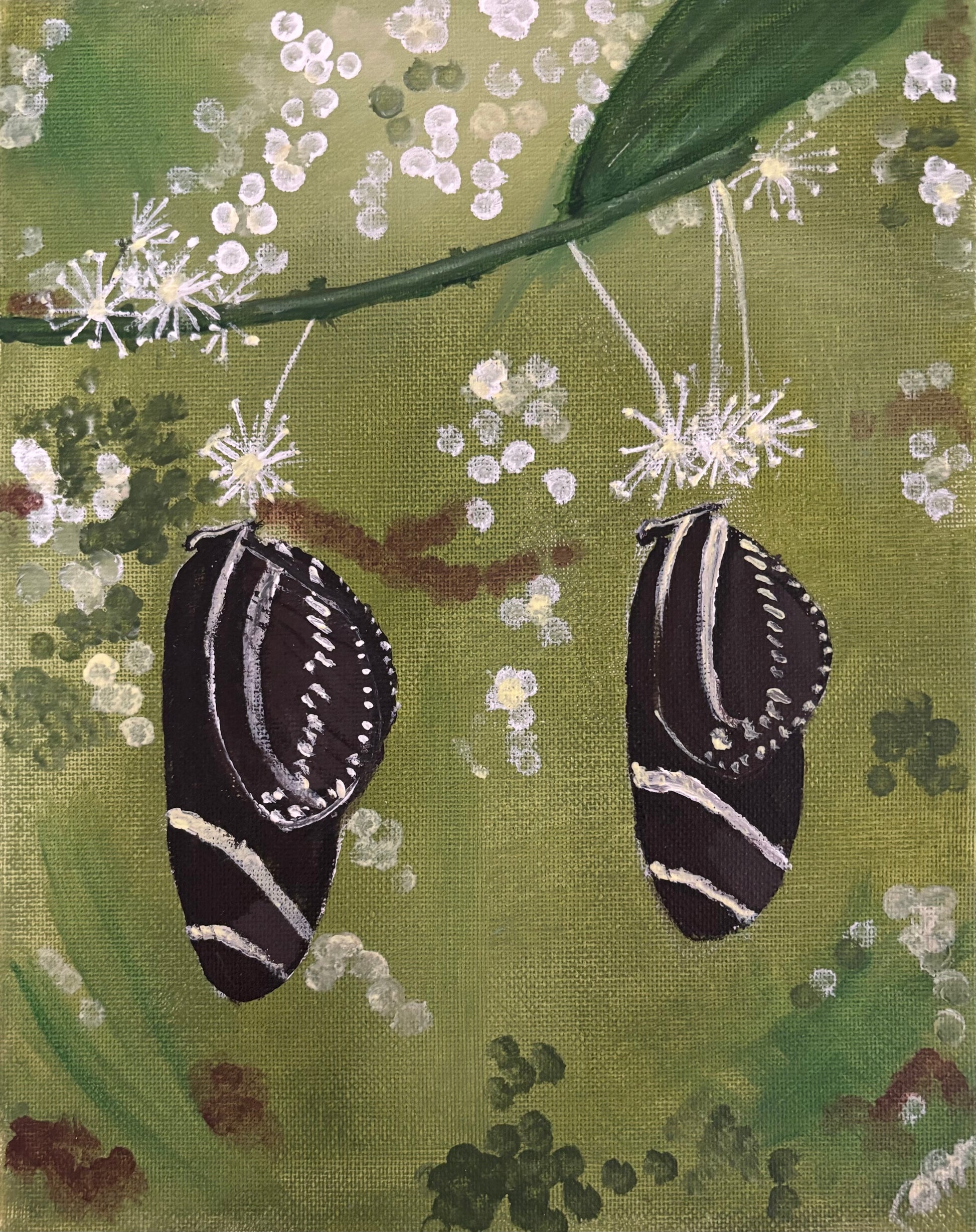 Zebra Longwing Butterflies