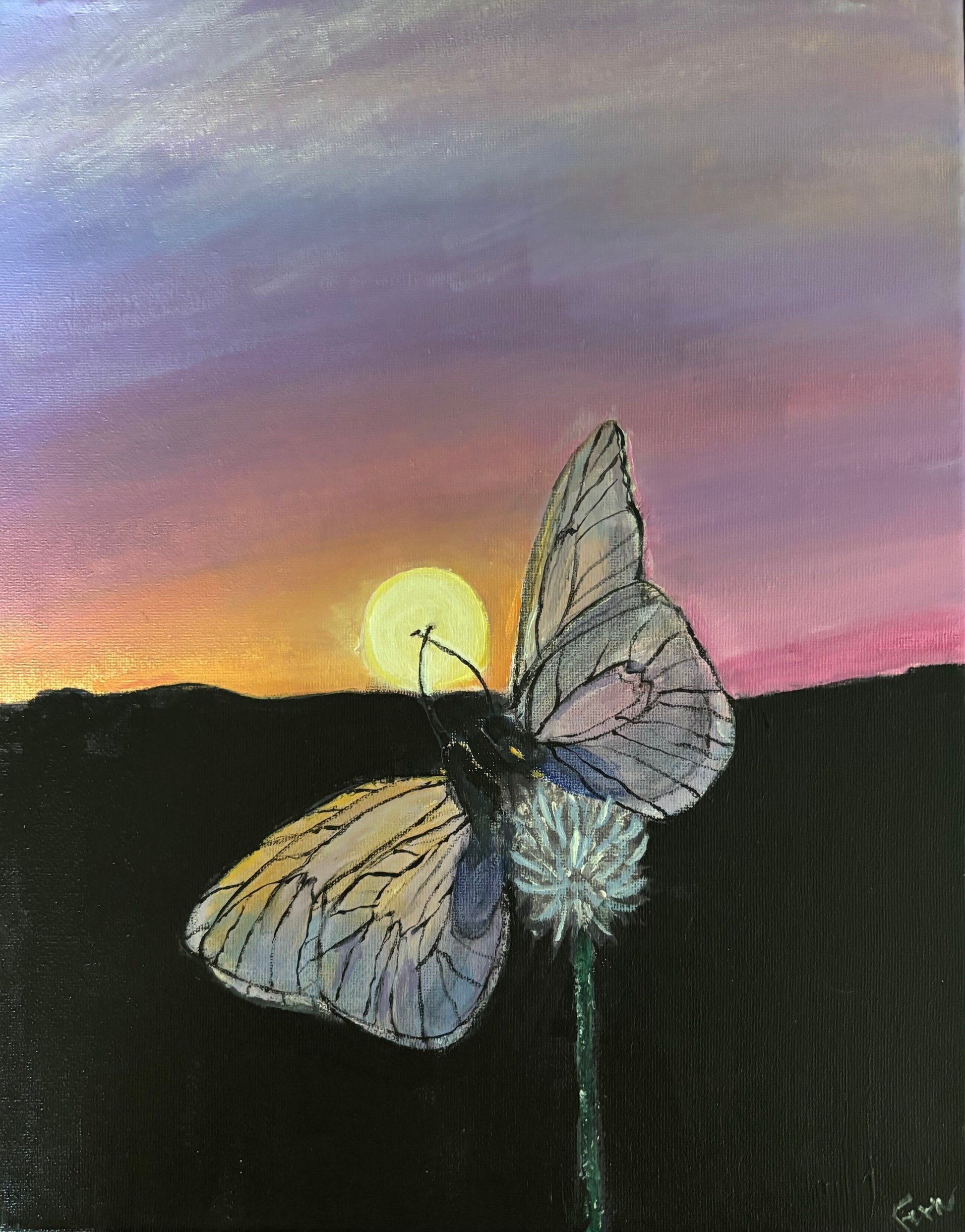 Lacewings at Sunset