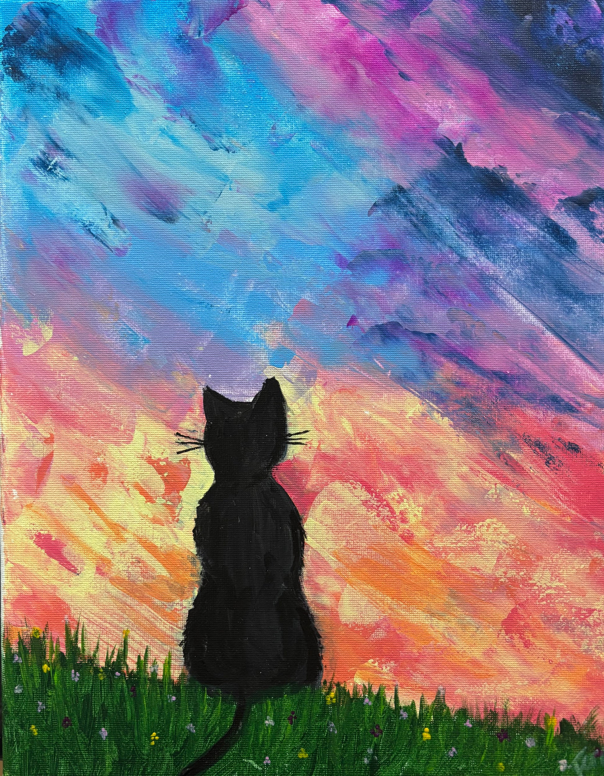 The Cat who Collected Sunsets