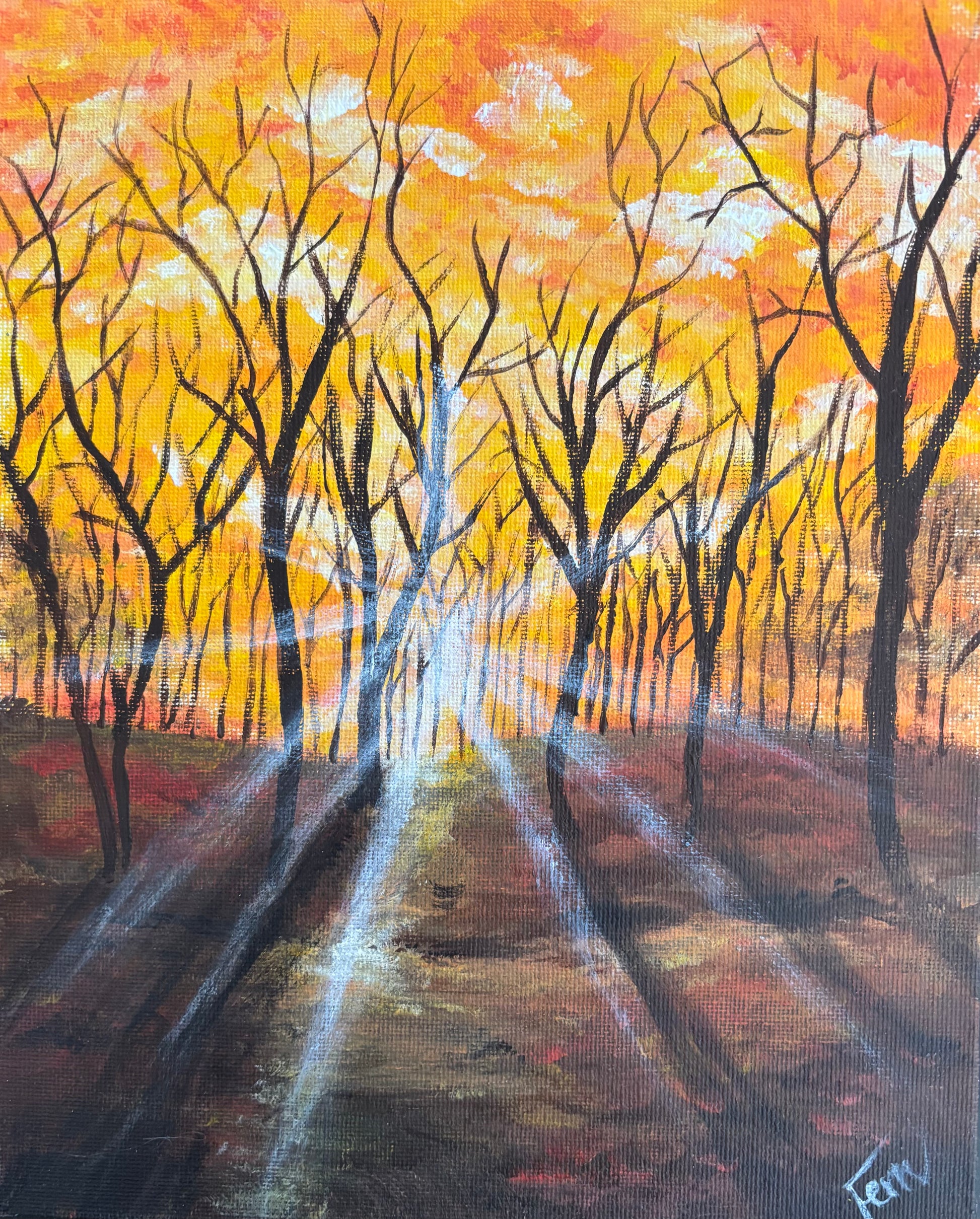 Yellow Winter Sun in the Forest