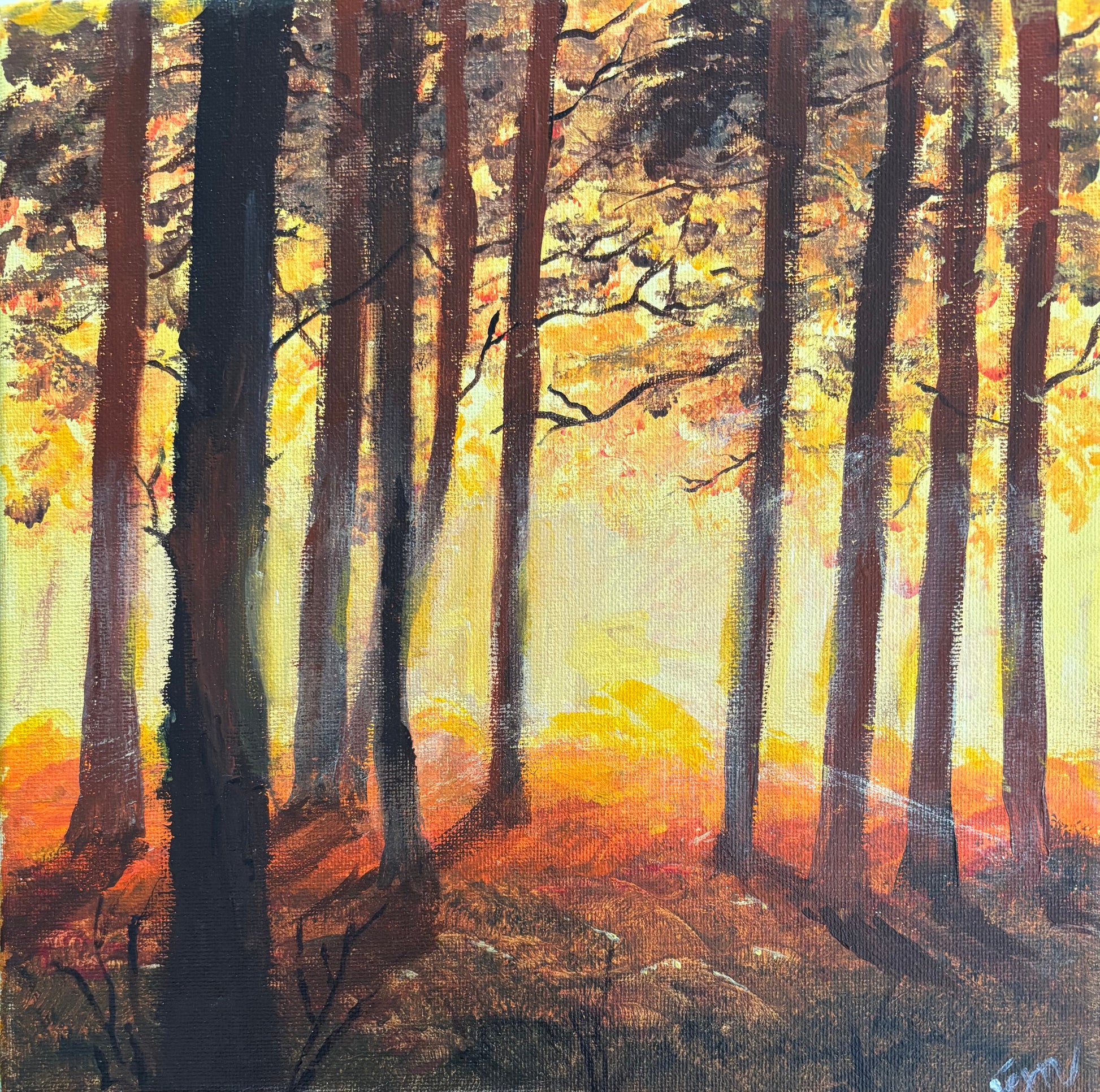 Yellow Sunrise in the Woods