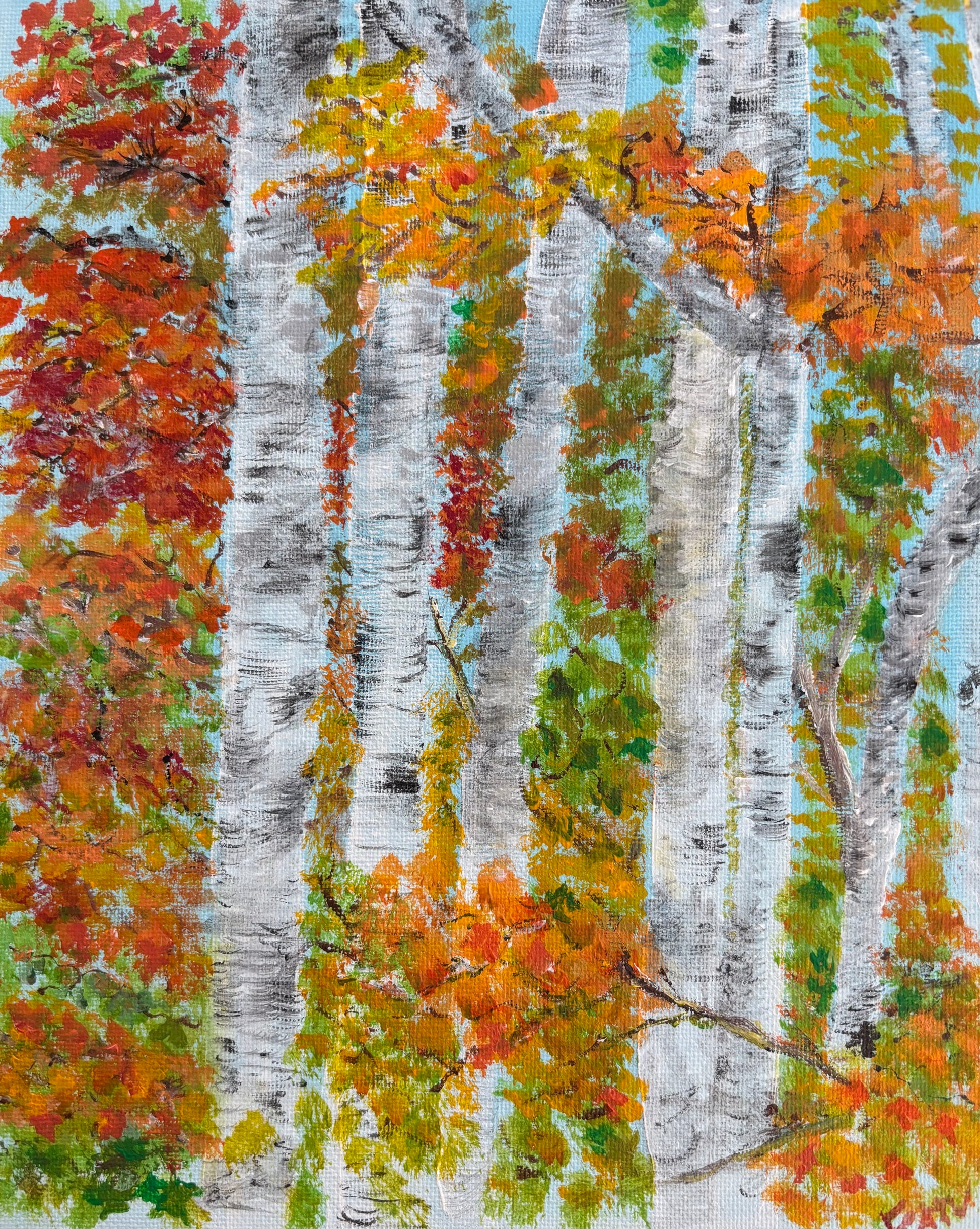 Birch Trees