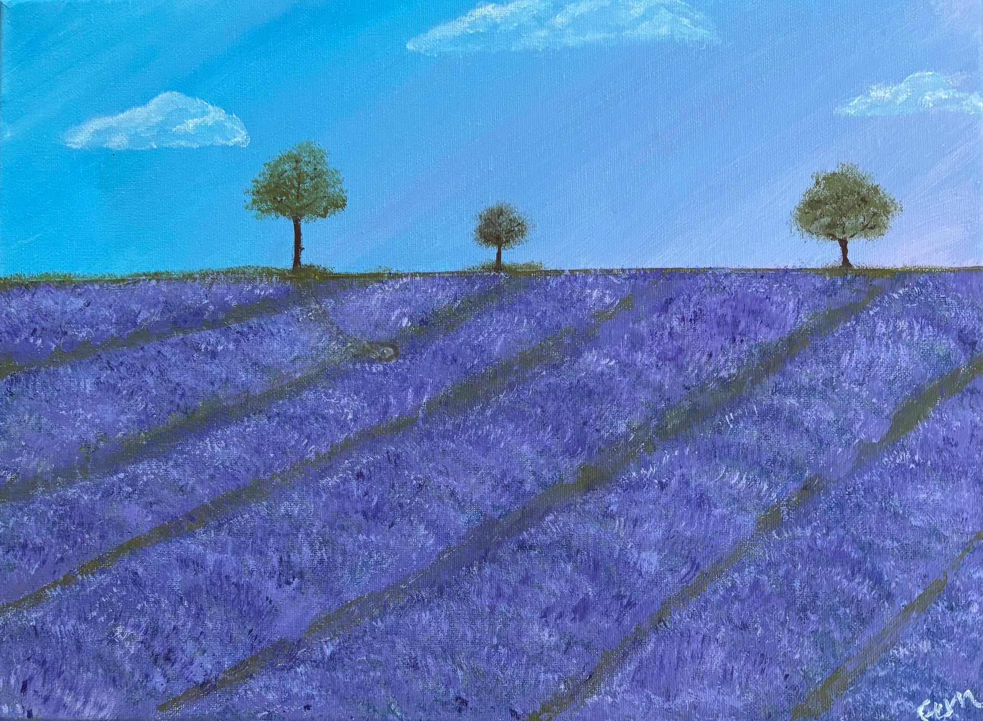 Dreaming of Provence