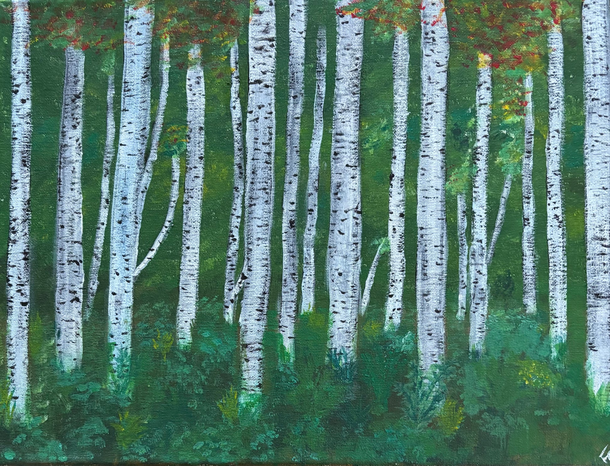 Green Birch Forest