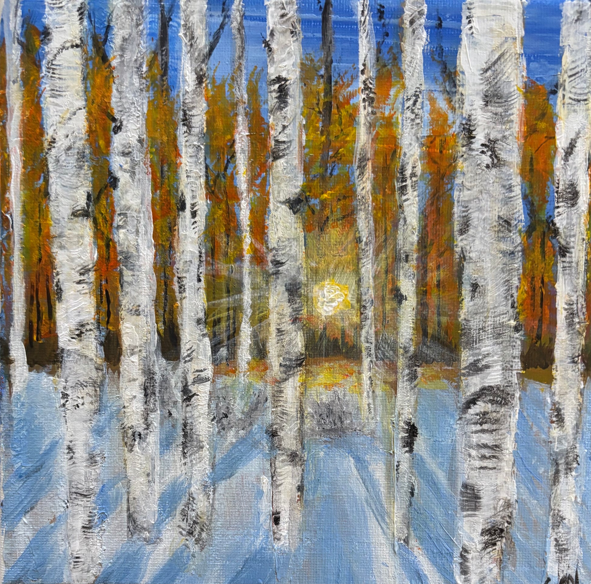 Winter Birch