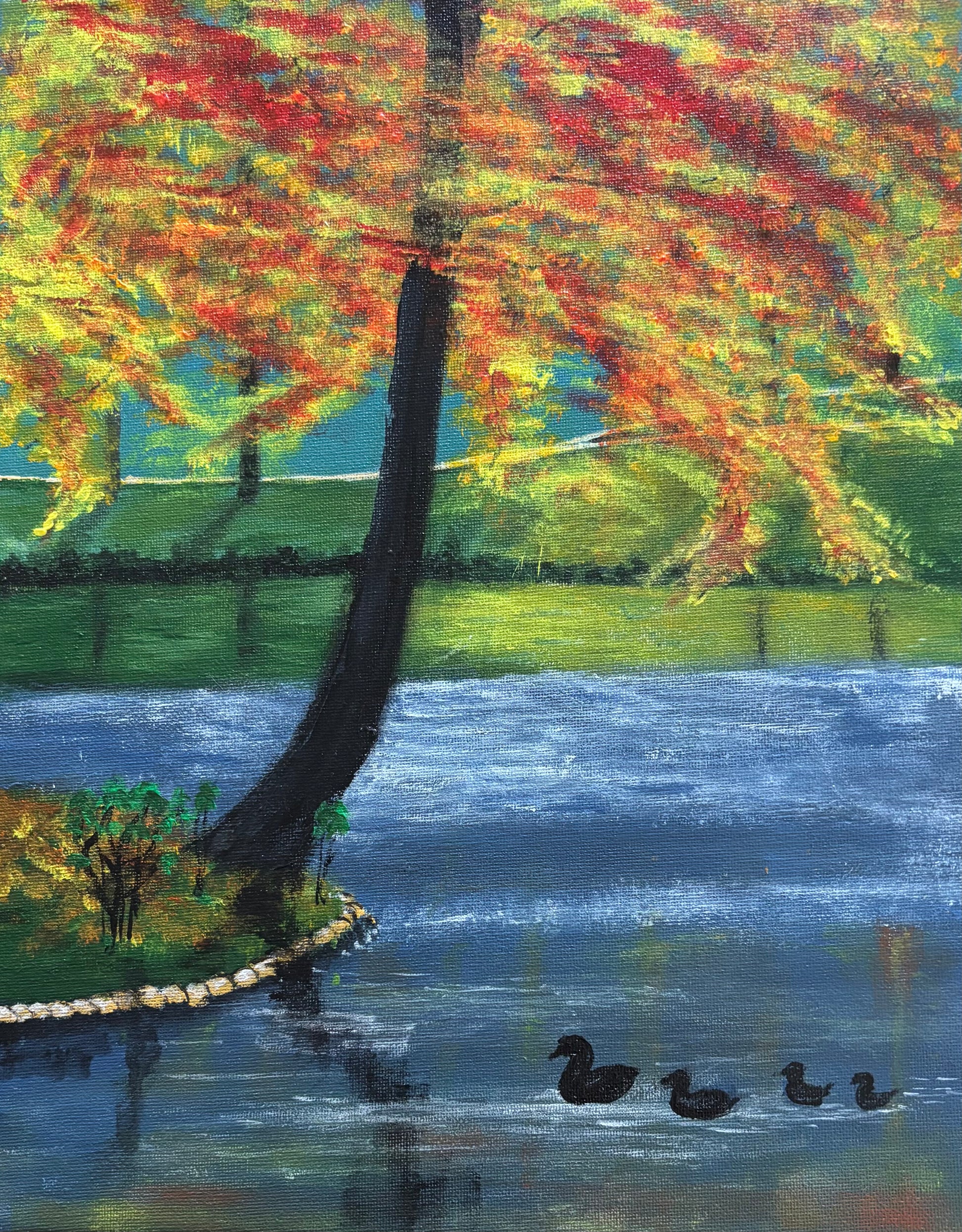 Ducks at the Park