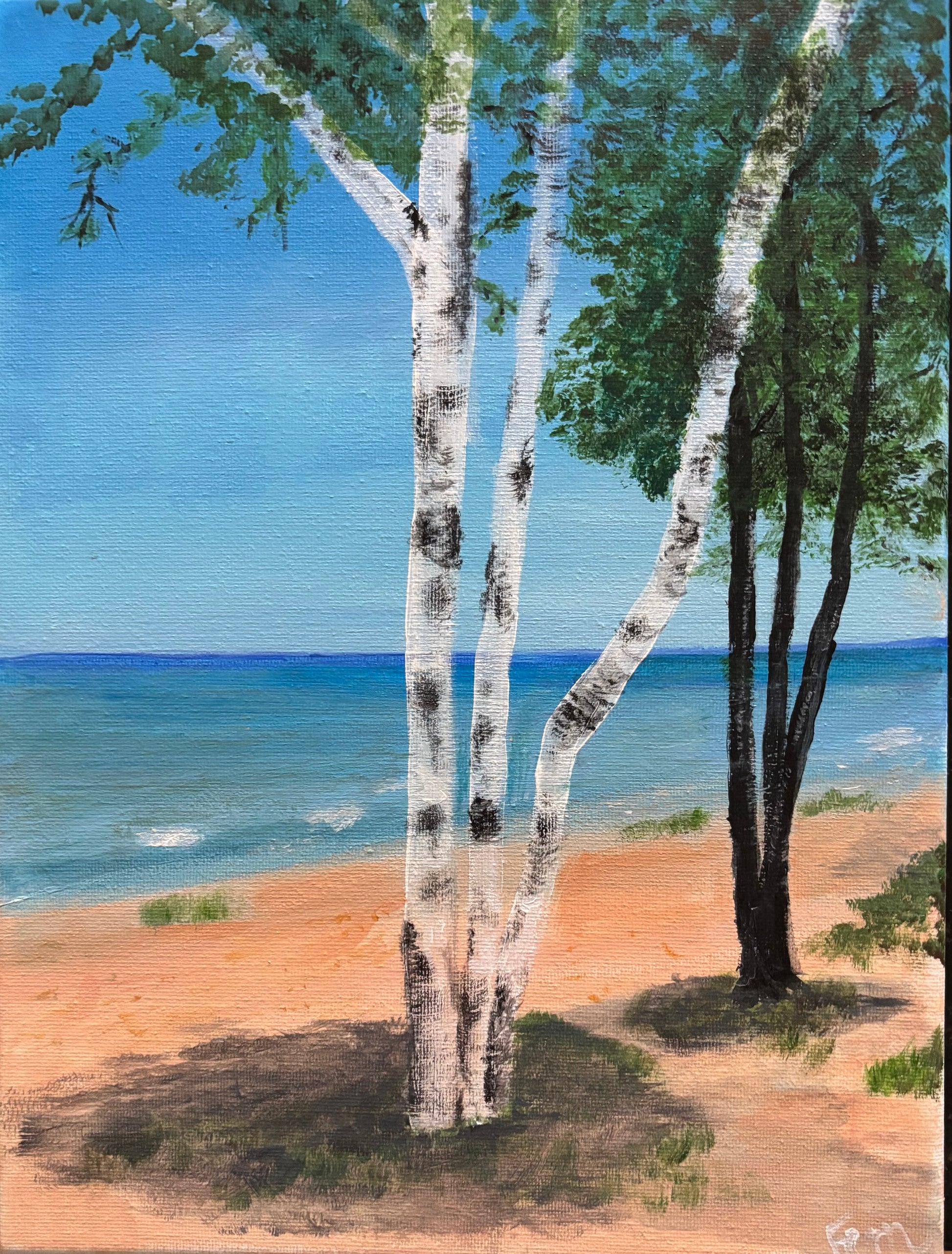 Shade Trees at The Beach