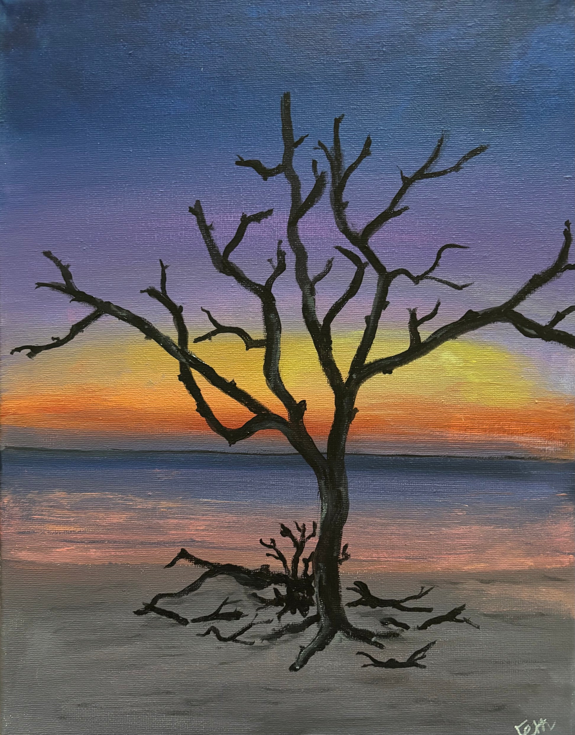 Driftwood Tree at Sunset
