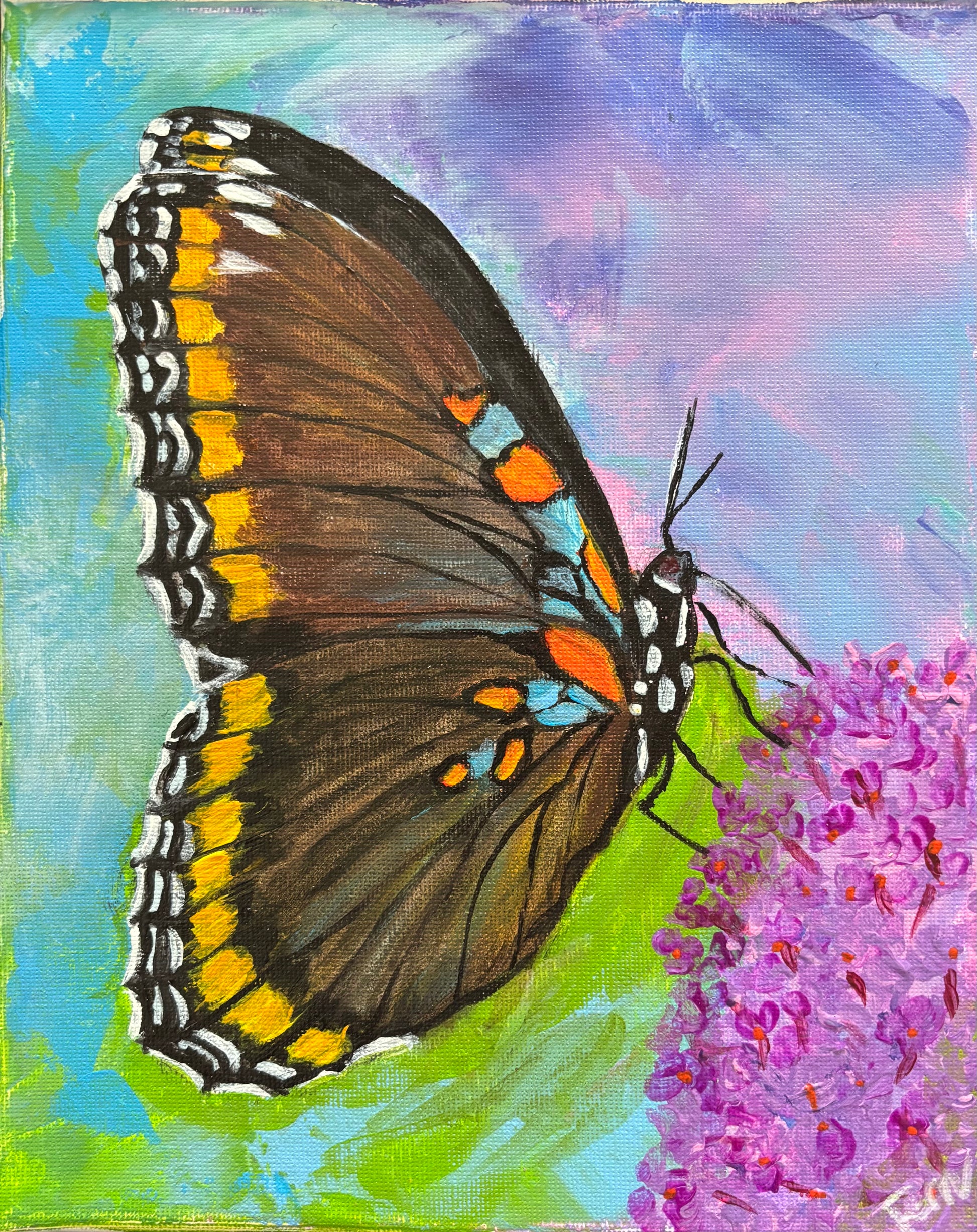 Red spotted Purple Butterfly