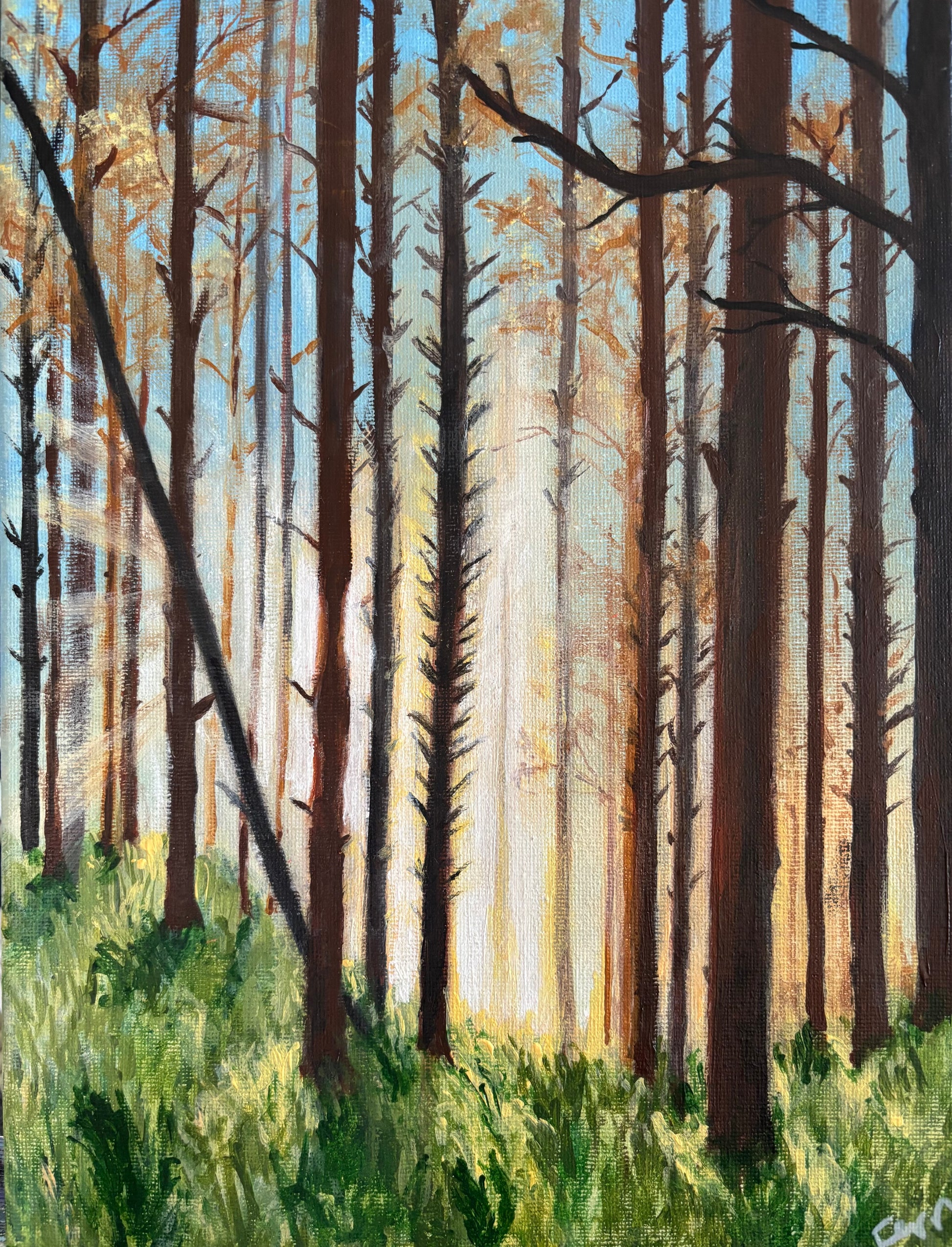 Whisper Through the Pines